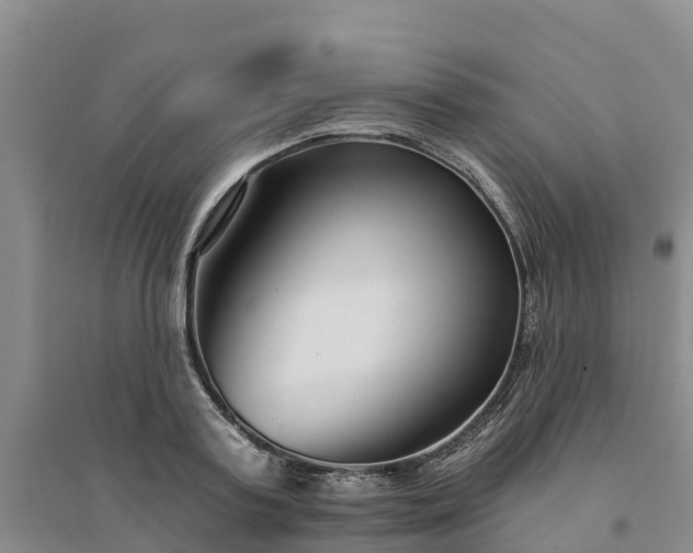 X0000094330795200711091404