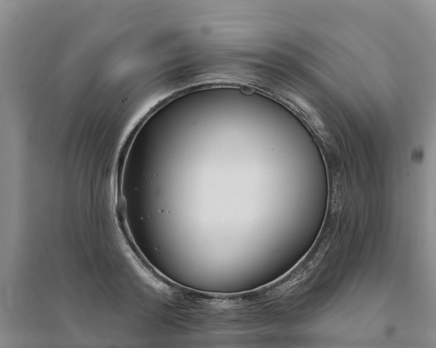 X0000094330796200711091404