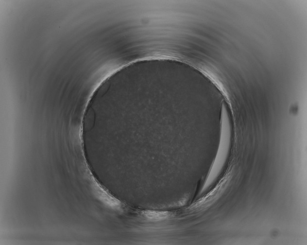 X0000094330797200711091403