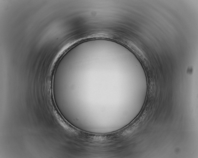 X0000094330800200711091403