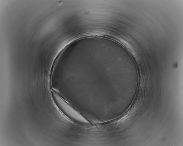 X0000094330802200711091403