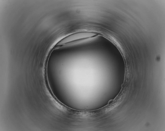 X0000094330803200711091403