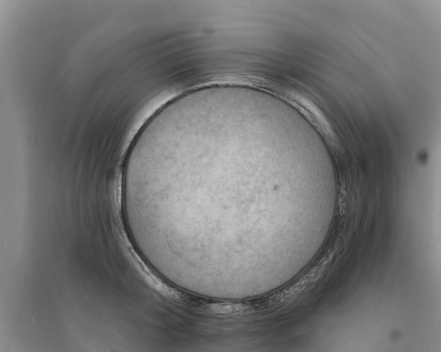 X0000094330804200711091403