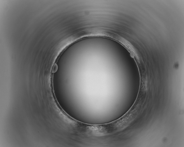 X0000094330805200711091403