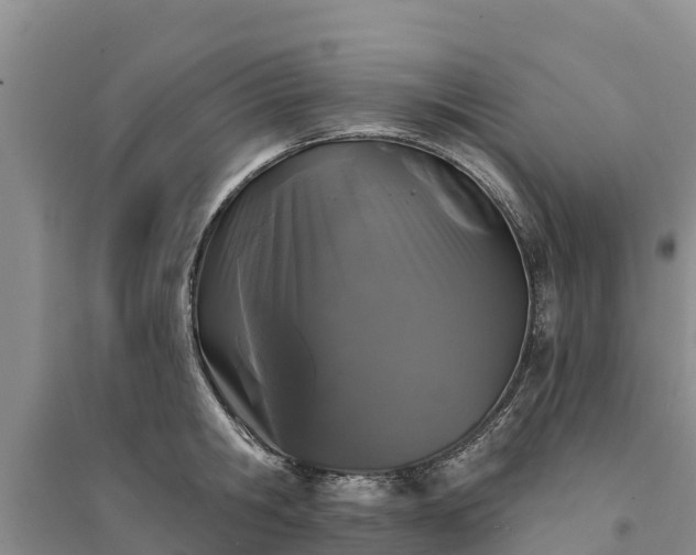 X0000094330806200711091403