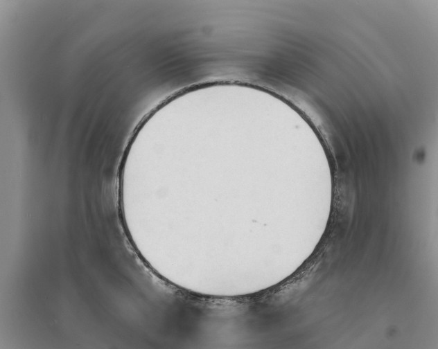 X0000094330807200711091403