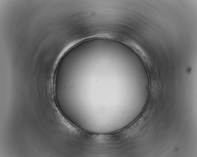 X0000094330808200711091403