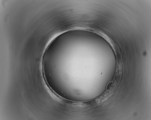 X0000094330811200711091403