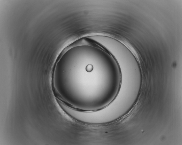 X0000094330813200711091403