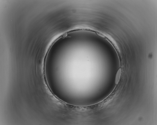 X0000094330815200711091403