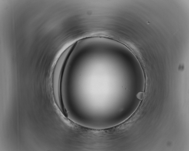 X0000094330816200711091403