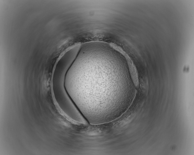 X0000094330818200711091402