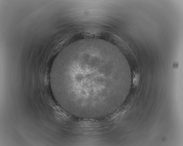 X0000094330819200711091402