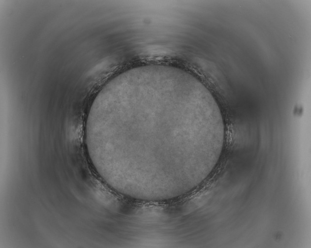 X0000094330820200711091402