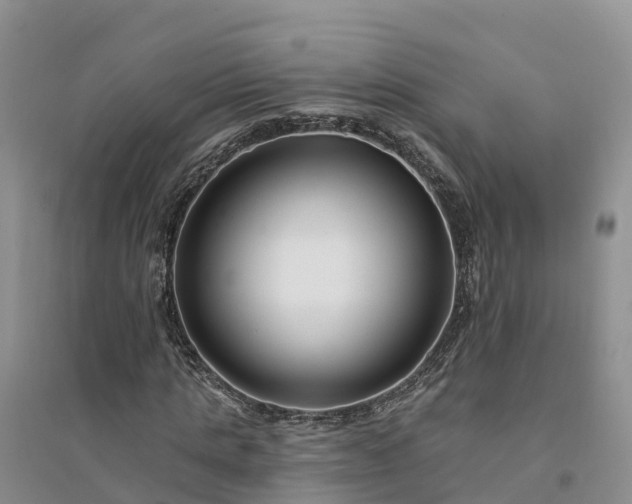 X0000094330821200711091402