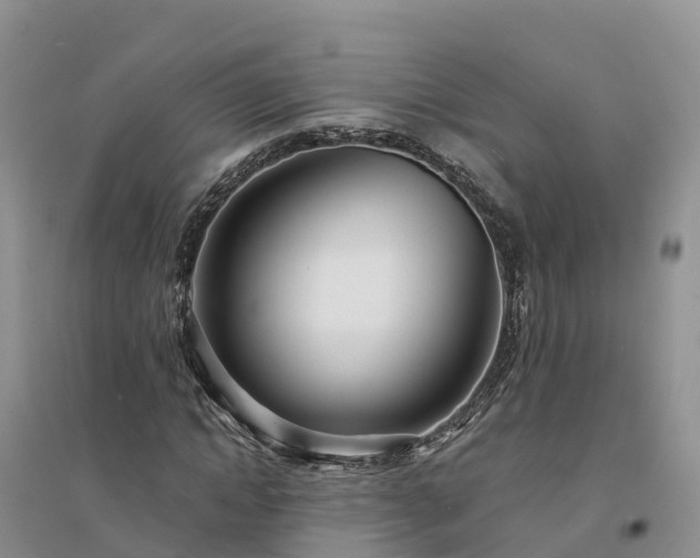 X0000094330822200711091402