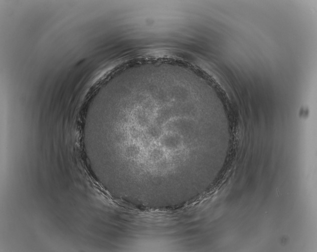 X0000094330823200711091402