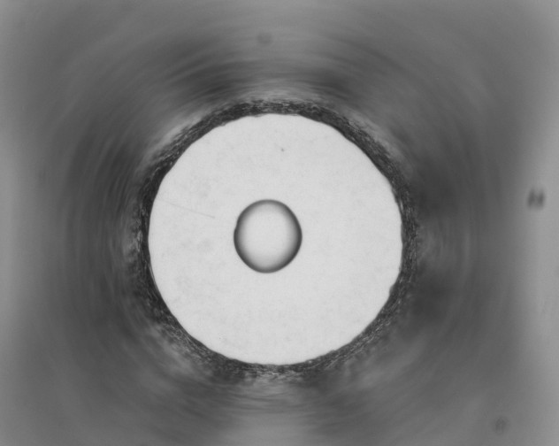 X0000094330824200711091402