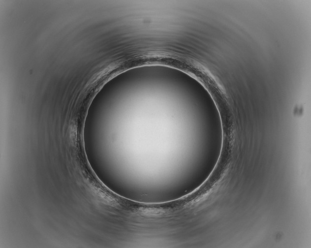 X0000094330825200711091403