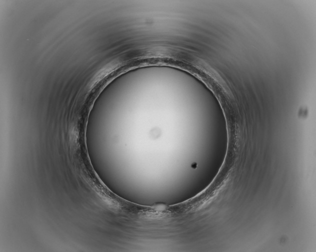 X0000094330826200711091403