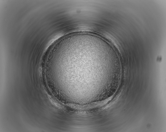 X0000094330827200711091403