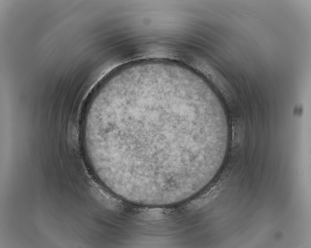 X0000094330828200711091403