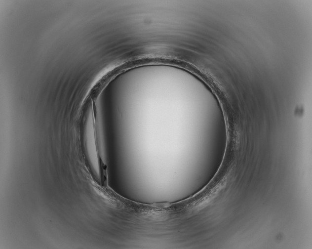 X0000094330830200711091403