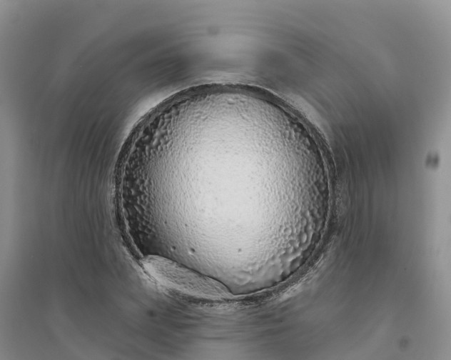 X0000094330831200711091403