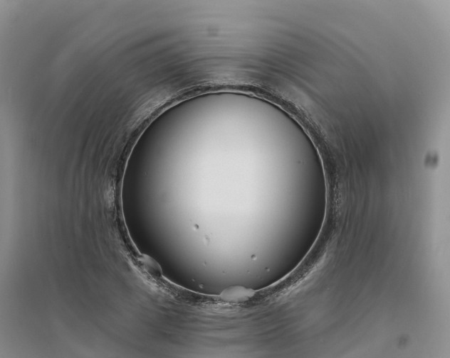 X0000094330833200711091403