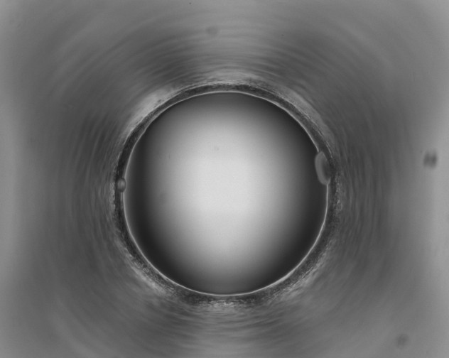 X0000094330834200711091403