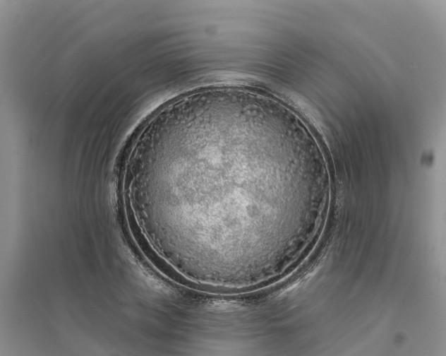 X0000094330835200711091403