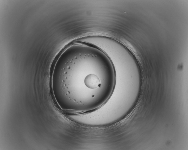 X0000094330836200711091403
