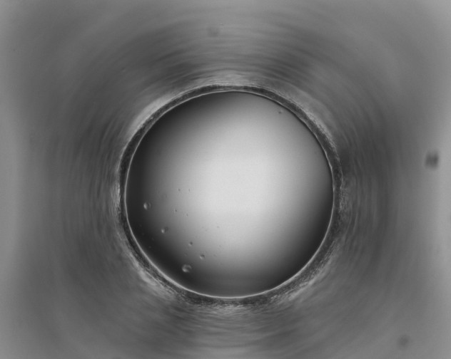 X0000094330837200711091403