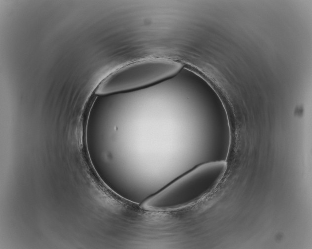 X0000094330838200711091403