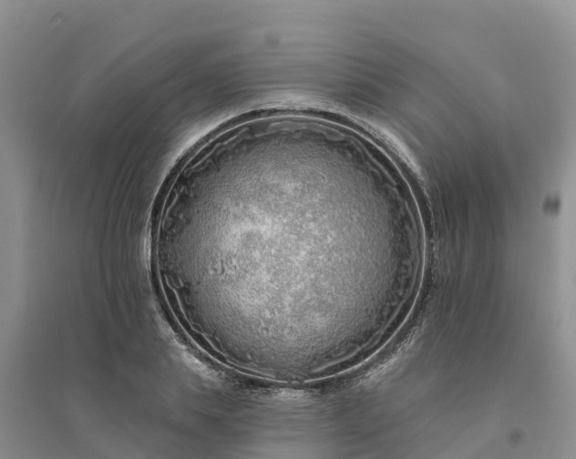 X0000094330839200711091403