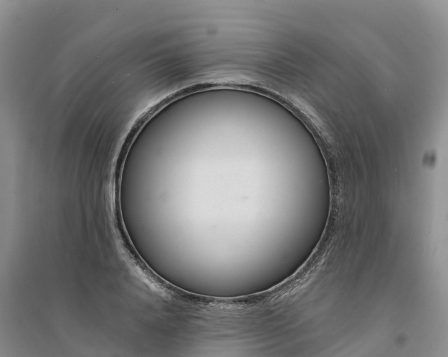 X0000094330840200711091403