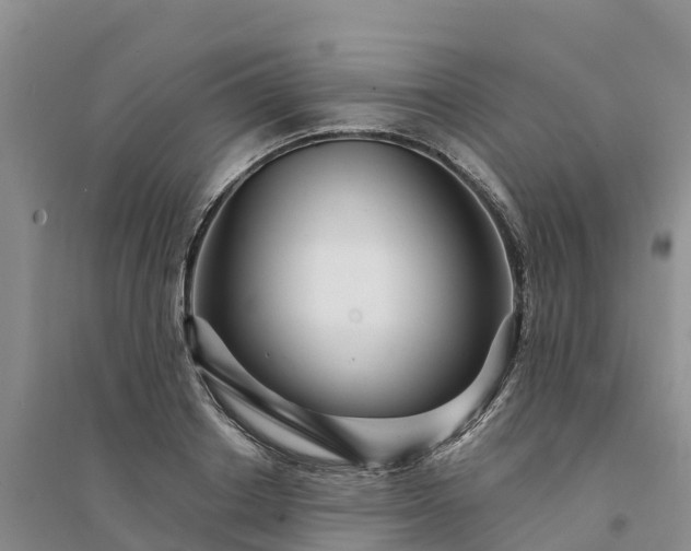 X0000094330842200711091403
