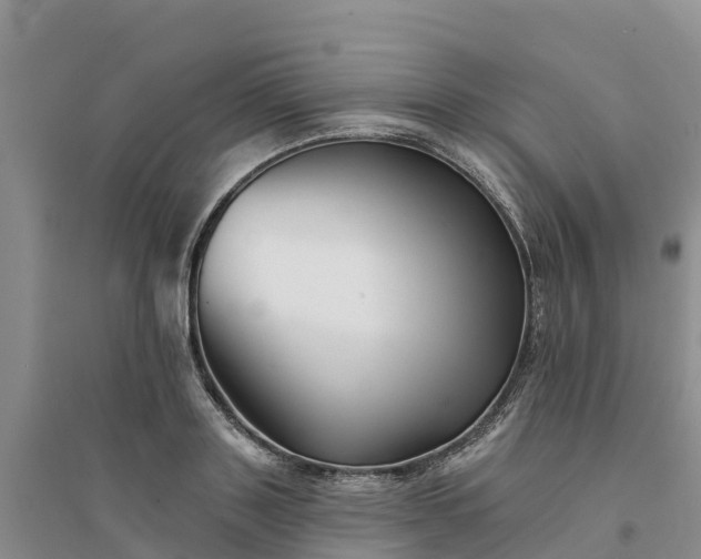 X0000094330843200711091403