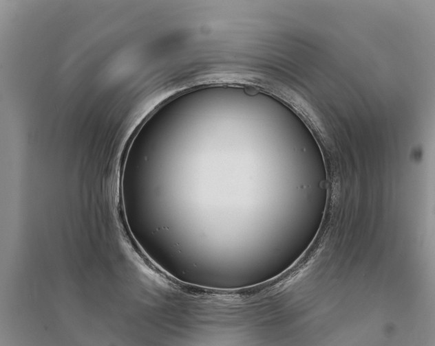 X0000094330844200711091403