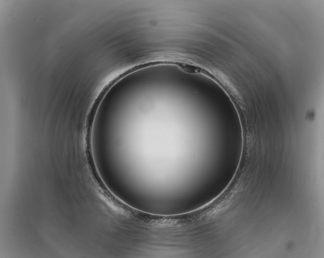 X0000094330846200711091403