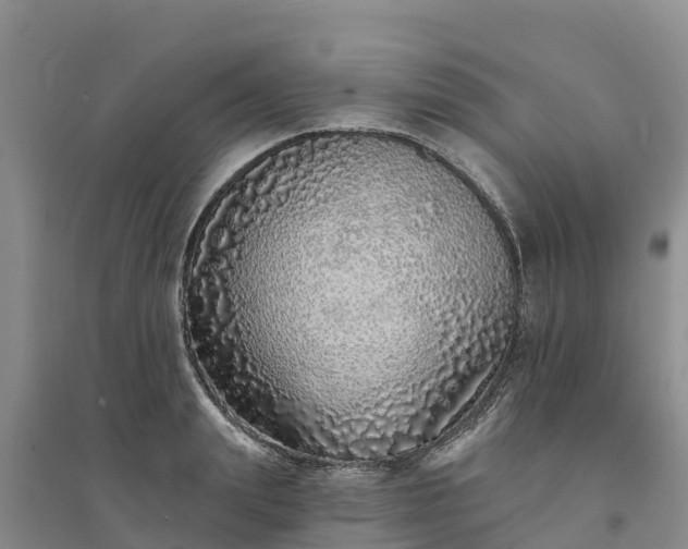 X0000094330847200711091403