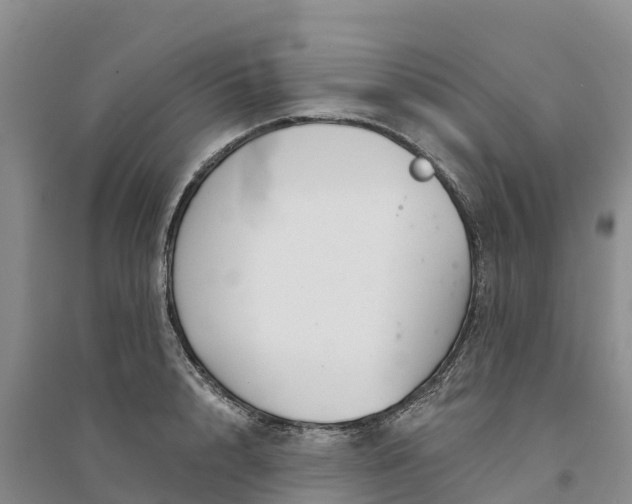 X0000094330848200711091403