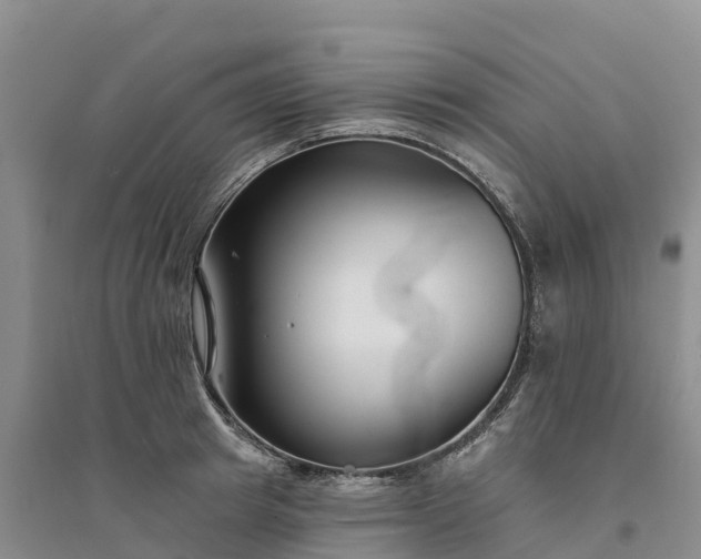 X0000094330849200711091403