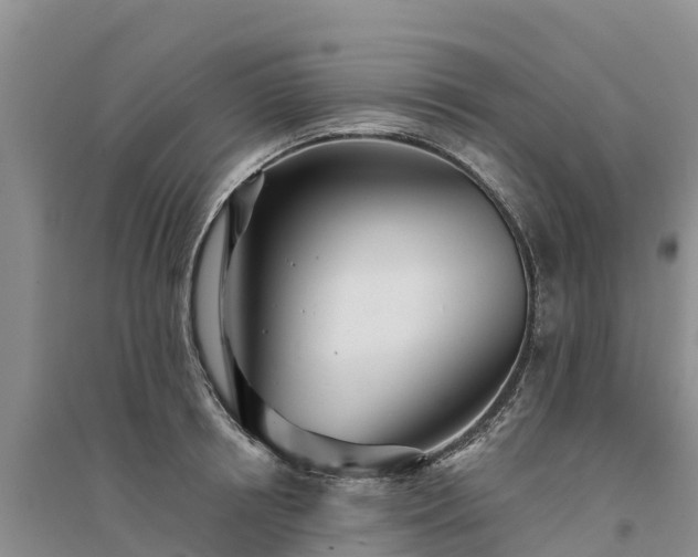 X0000094330850200711091403