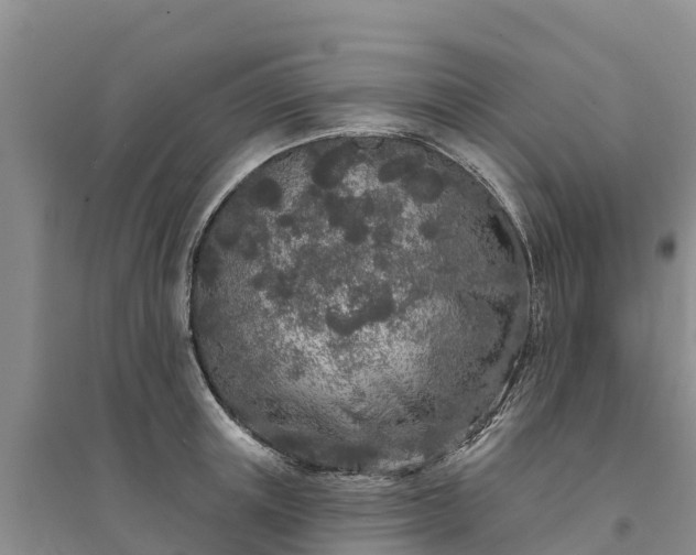 X0000094330851200711091403
