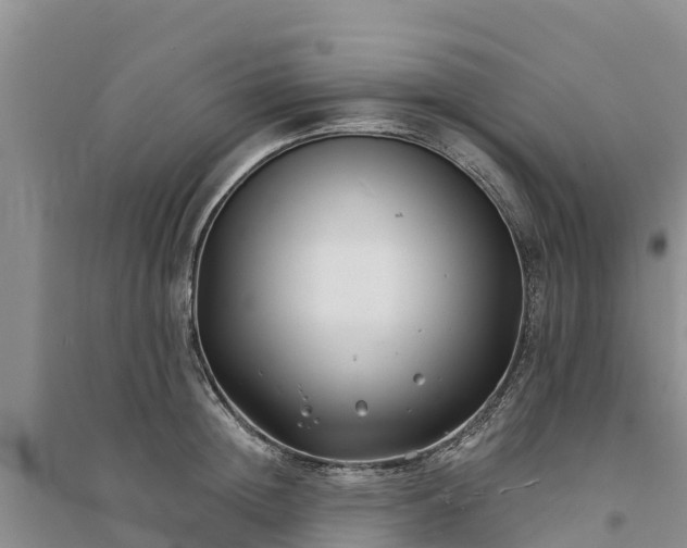X0000094330852200711091403
