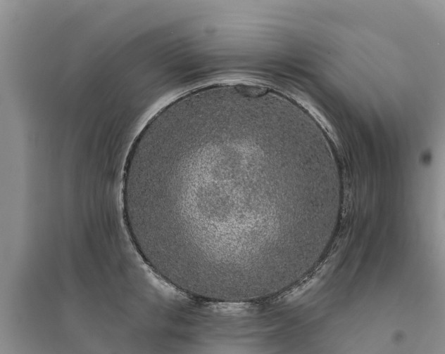 X0000094330853200711091403