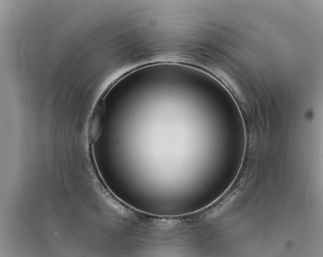 X0000094330854200711091403