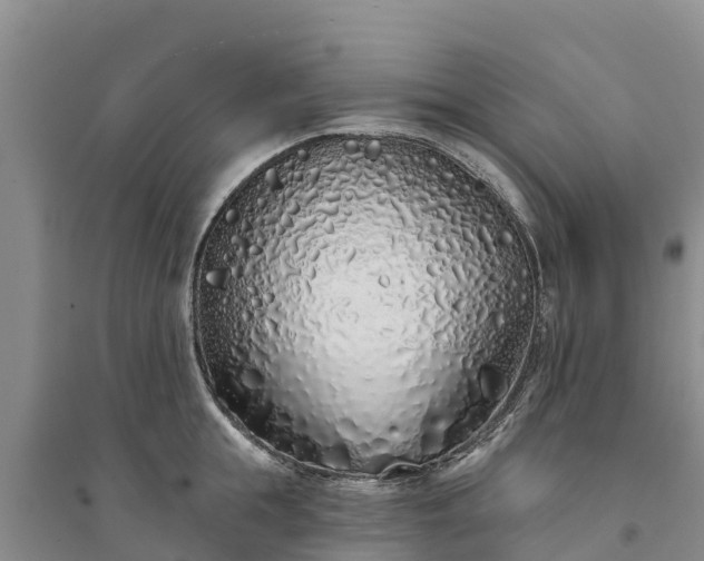 X0000094330855200711091403