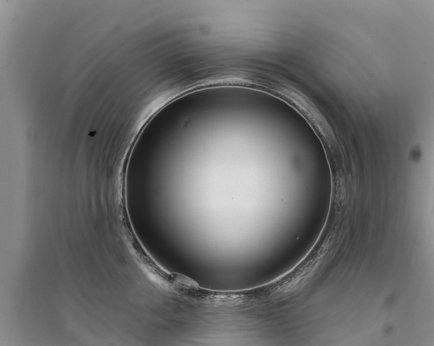 X0000094330858200711091403